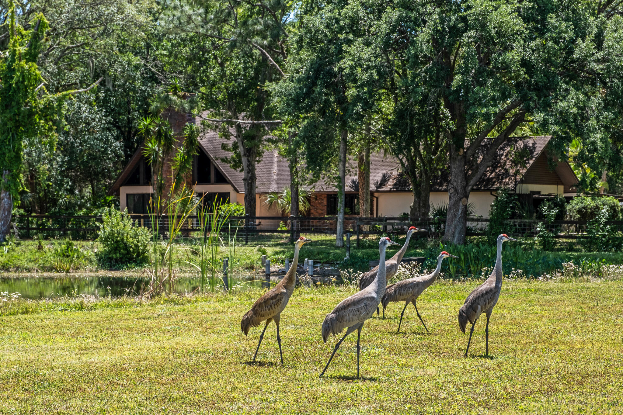 5115 Ranchland Road Melbourne, FL 32934 - Photo 30 of 31 31-untitled-41