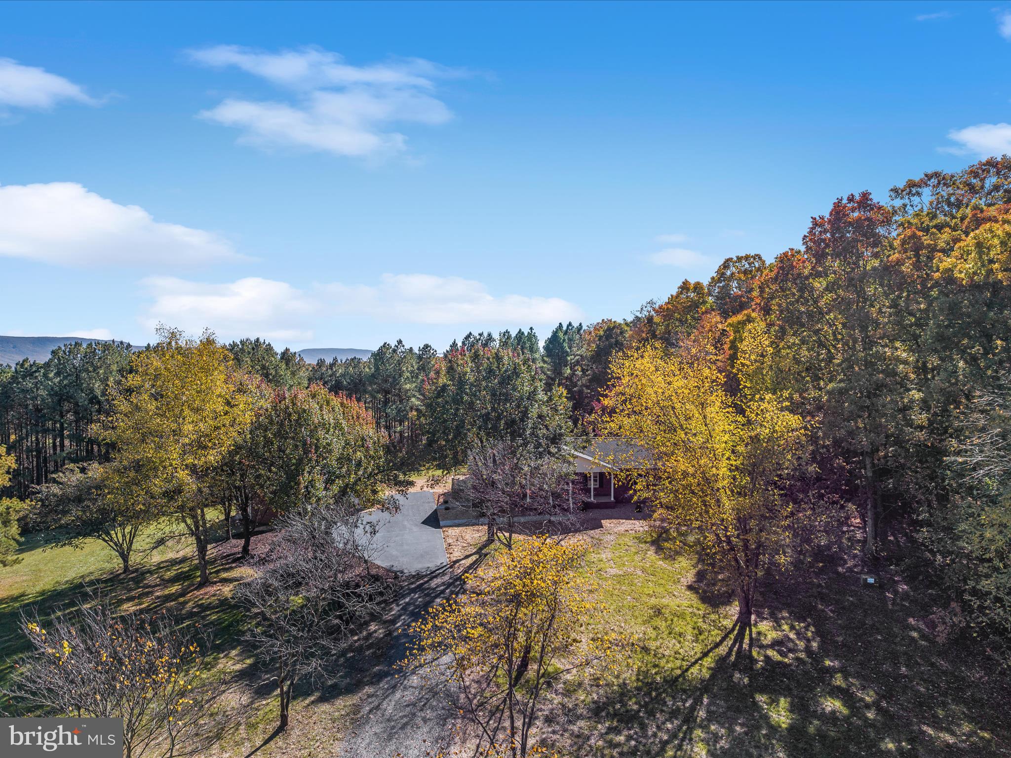 699 Foltz Road Edinburg, VA 22824 - Photo 49 of 63 Gallery Image 49