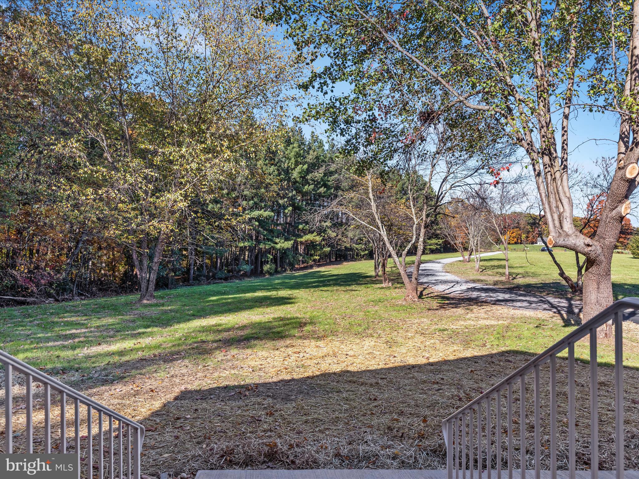 699 Foltz Road Edinburg, VA 22824 - Photo 61 of 63 Gallery Image 61