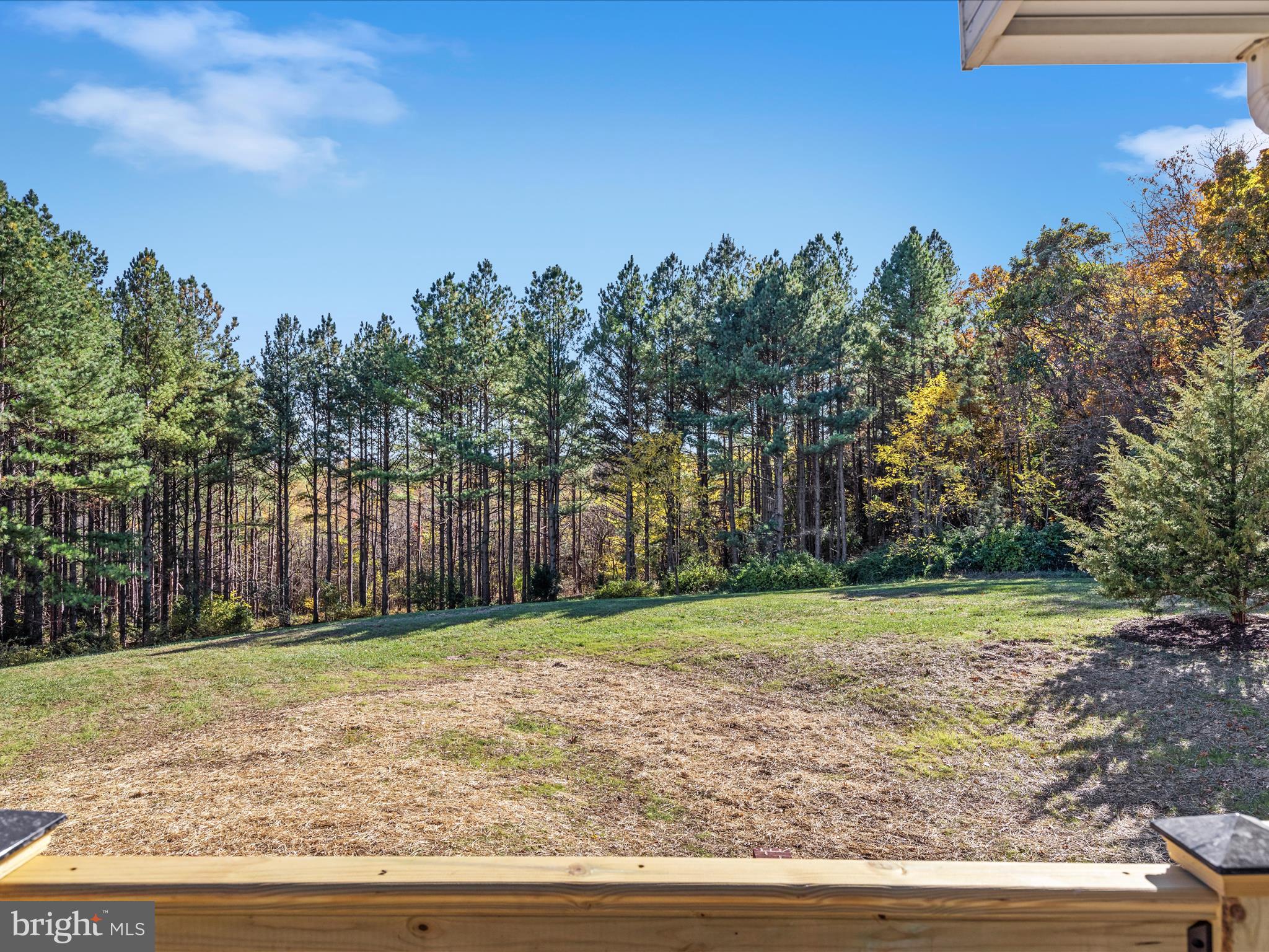699 Foltz Road Edinburg, VA 22824 - Photo 63 of 63 Gallery Image 63