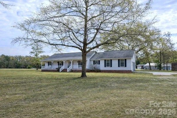 a big room with big trees and a big yard