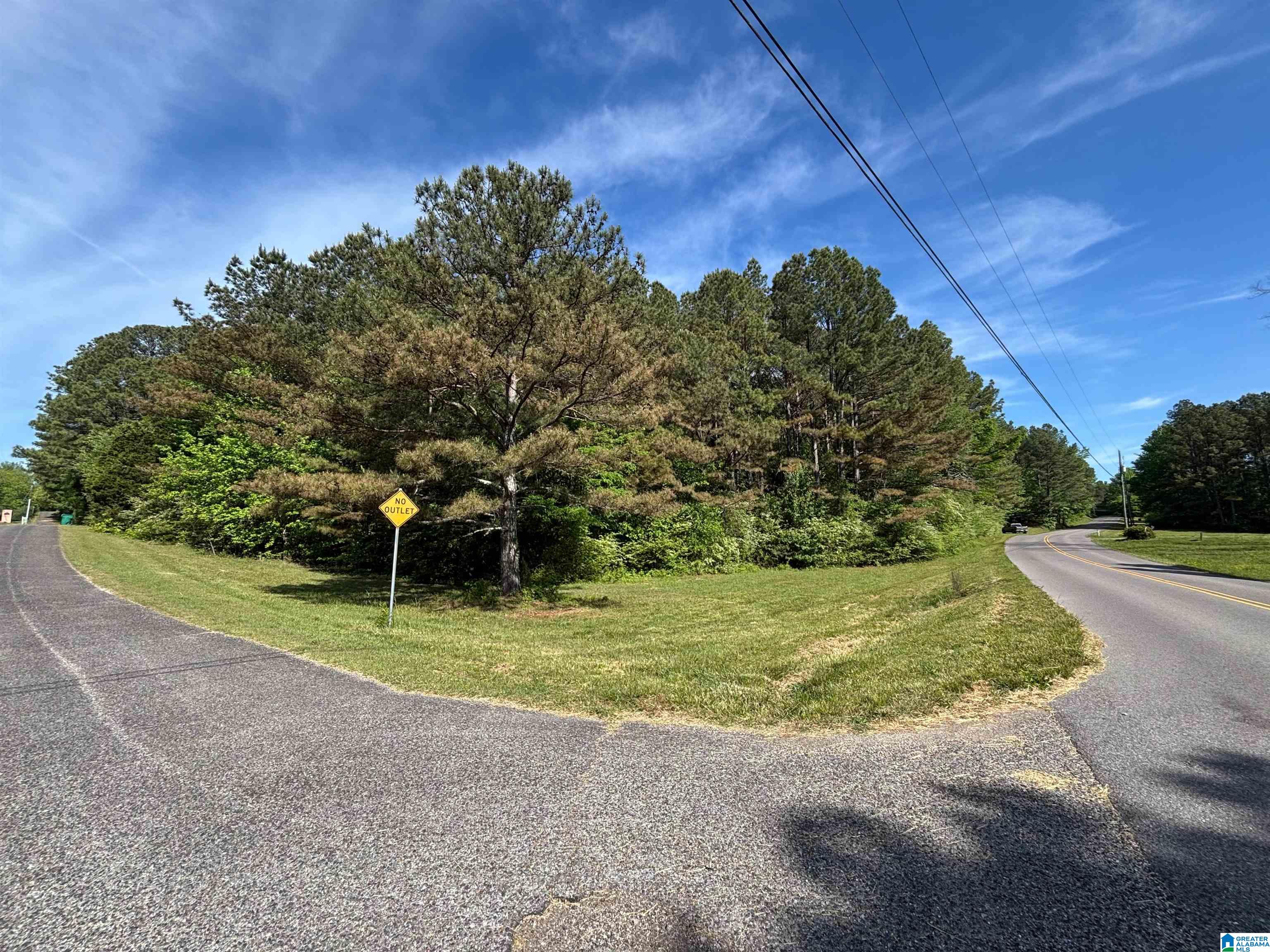 0 James Taylor Road, Unit 2 23 / ACRES Moody, AL 35004 - Photo 6 of 8