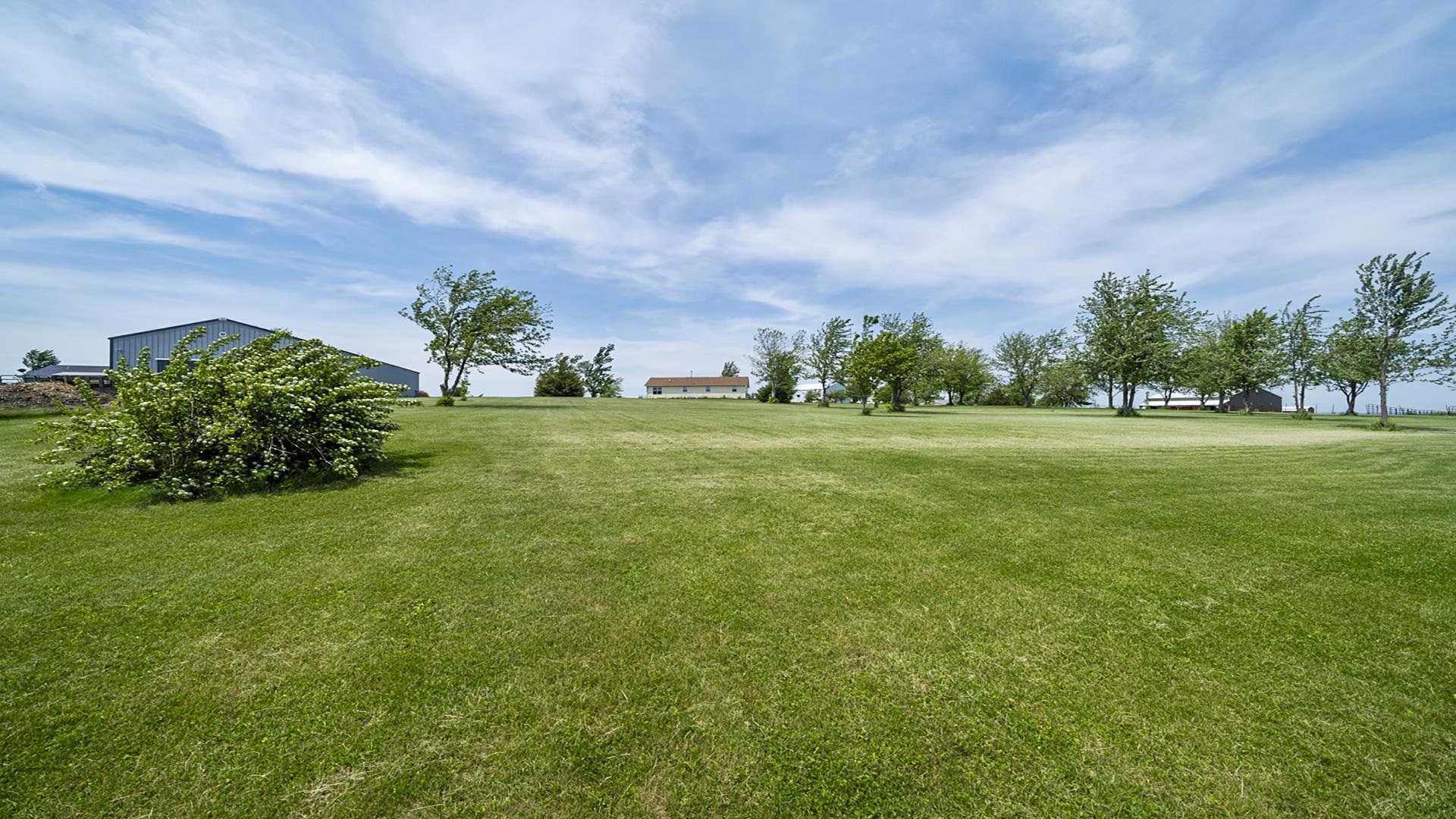 820 Brooklyn Road West Brooklyn, IL 61378 - Photo 2 of 41 a big yard with lots of green space and plants