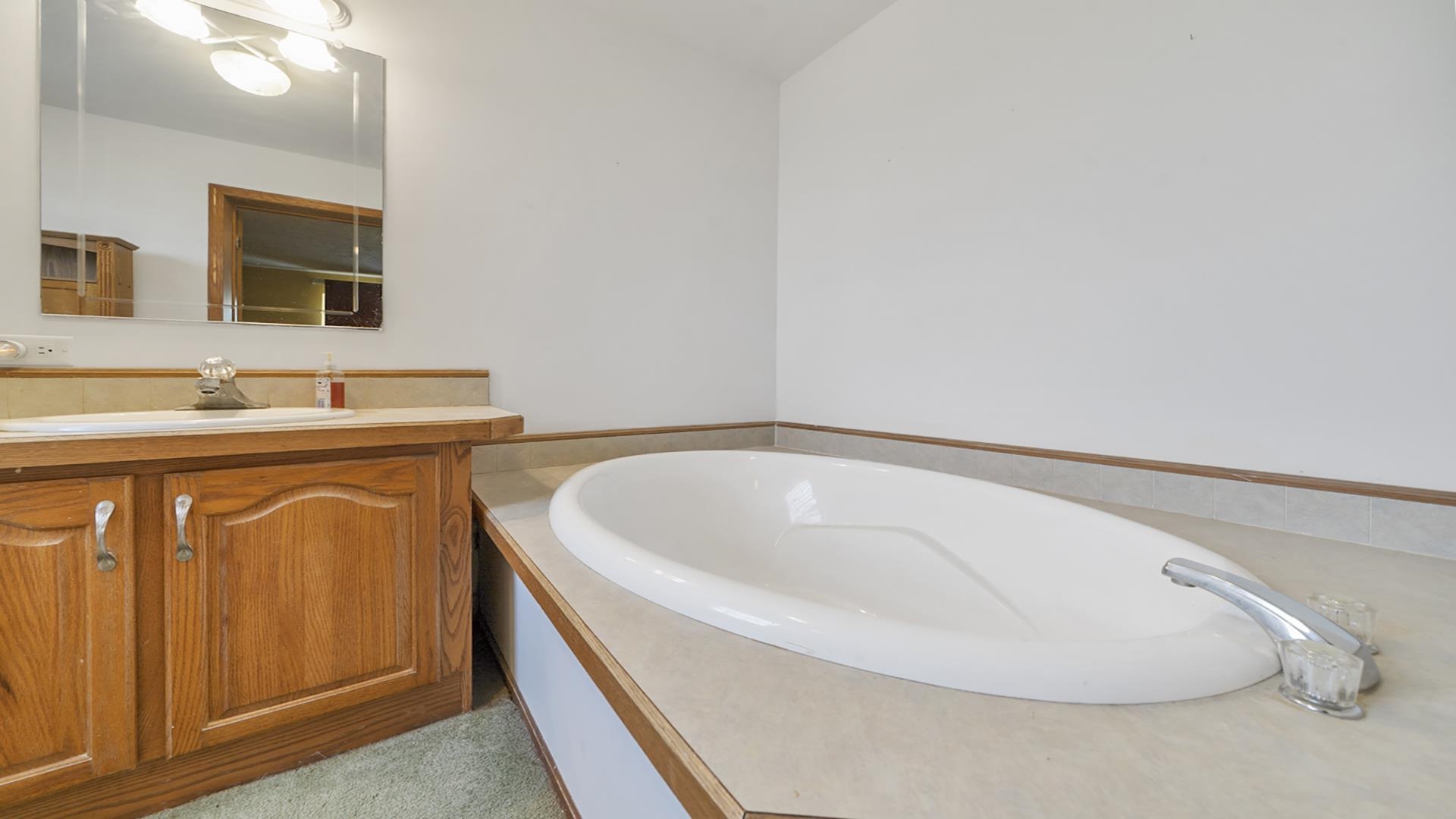 820 Brooklyn Road West Brooklyn, IL 61378 - Photo 33 of 41 a bathroom with a bathtub and a sink