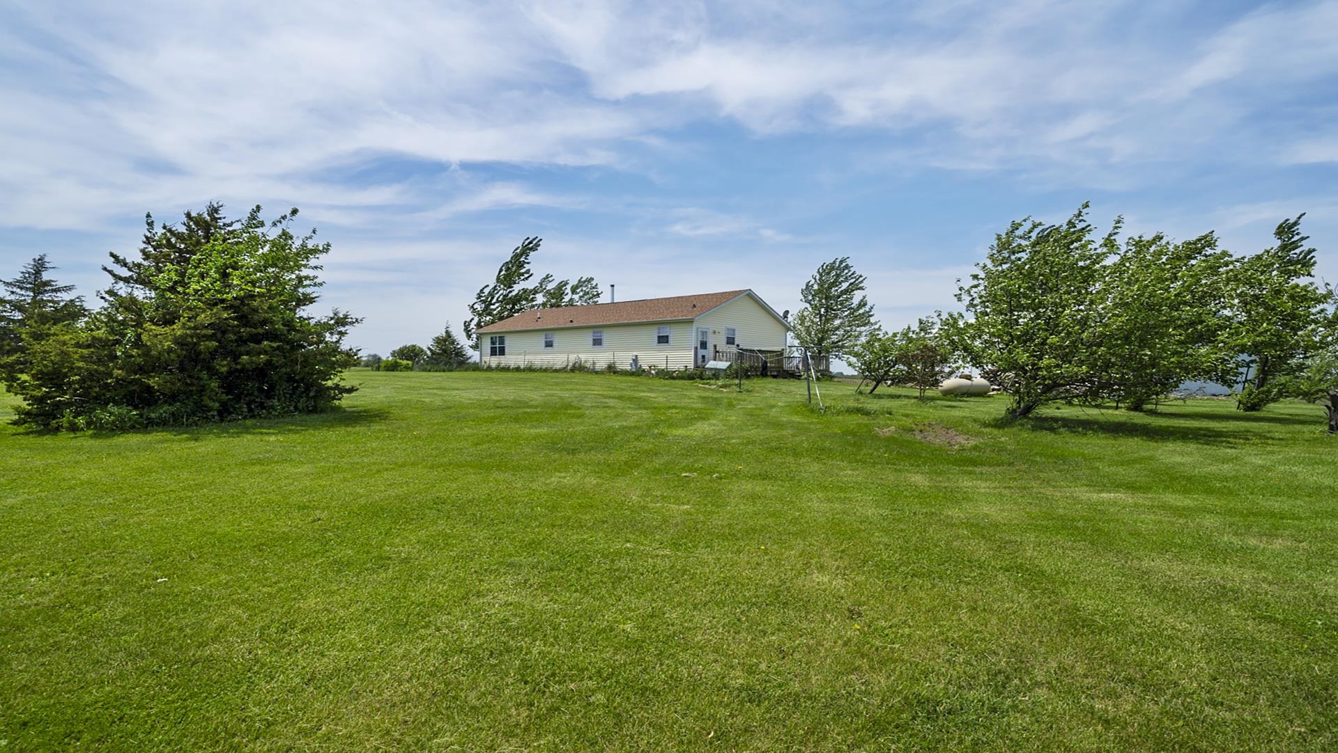 820 Brooklyn Road West Brooklyn, IL 61378 - Photo 5 of 41 a view of a big yard with plants and large trees