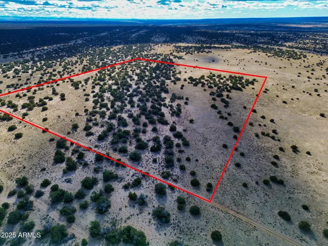 $25,000 | Lot 78 Witch Well Ranches, Unit 78, St. Johns, AZ 85936