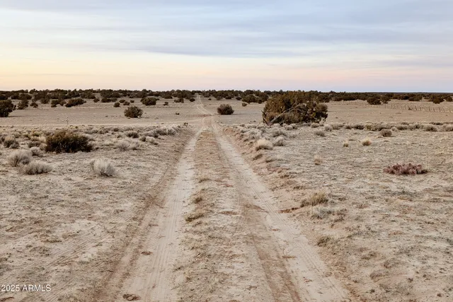 $25,000 | Lot 78 Witch Well Ranches, Unit 78, St. Johns, AZ 85936