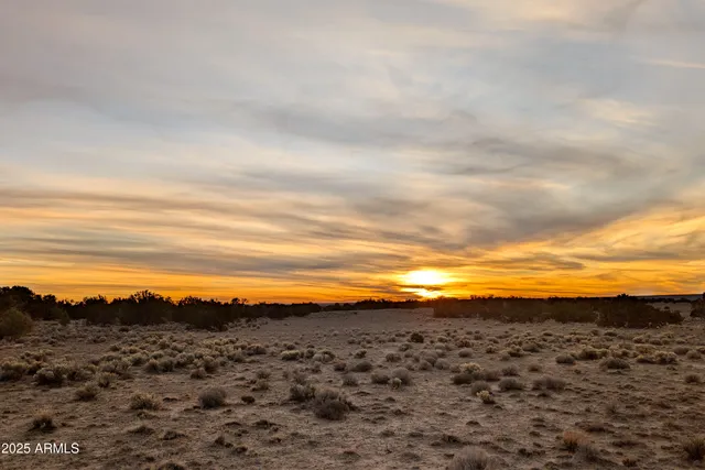 $25,000 | Lot 78 Witch Well Ranches, Unit 78, St. Johns, AZ 85936