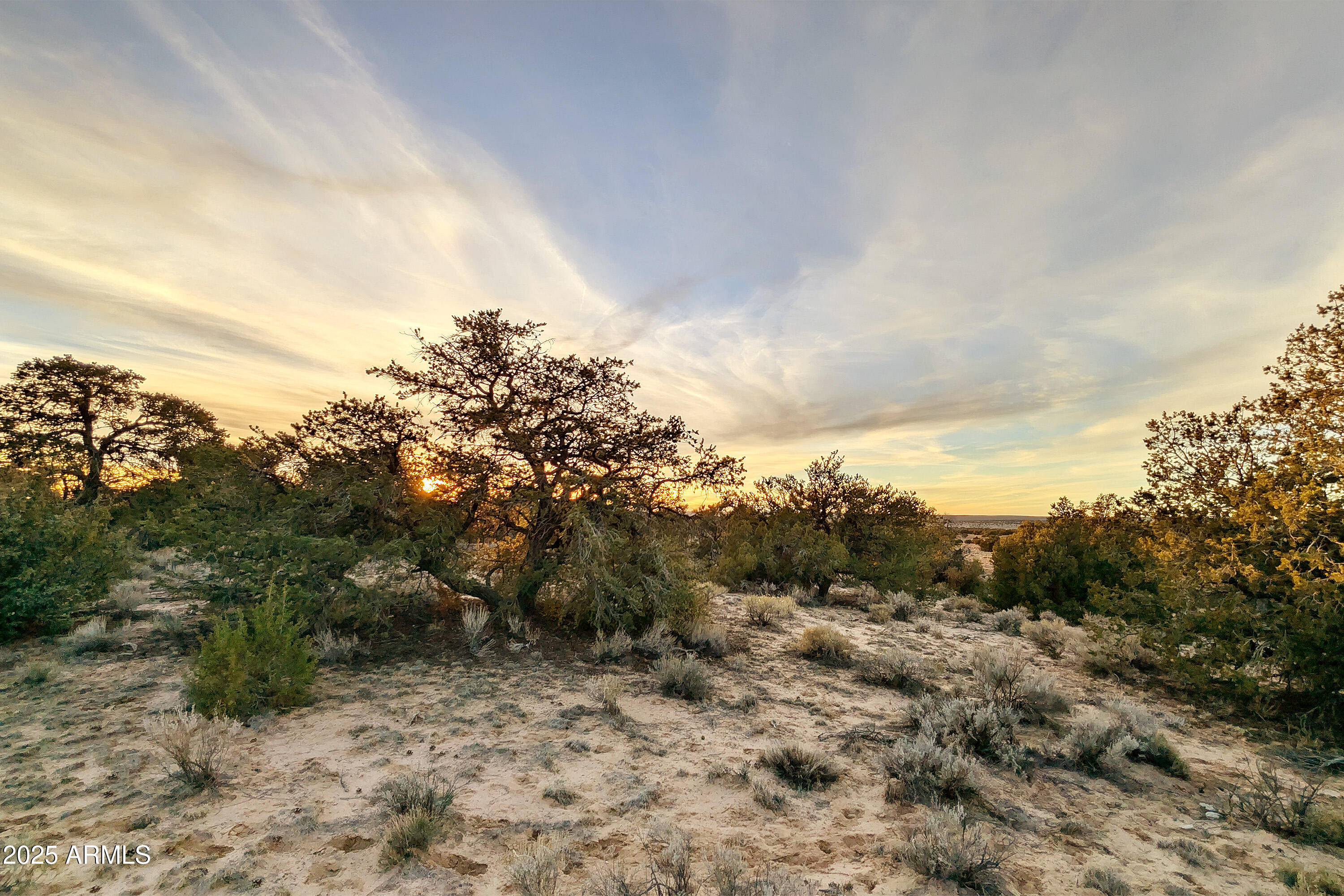 Lot 78 Witch Well Ranches, Unit 78 St. Johns, AZ 85936 - Photo 7 of 12 a view of a field with trees in the background