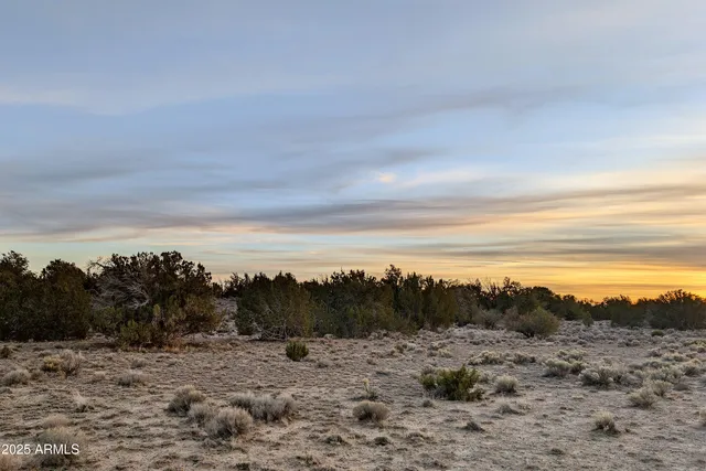$25,000 | Lot 78 Witch Well Ranches, Unit 78, St. Johns, AZ 85936
