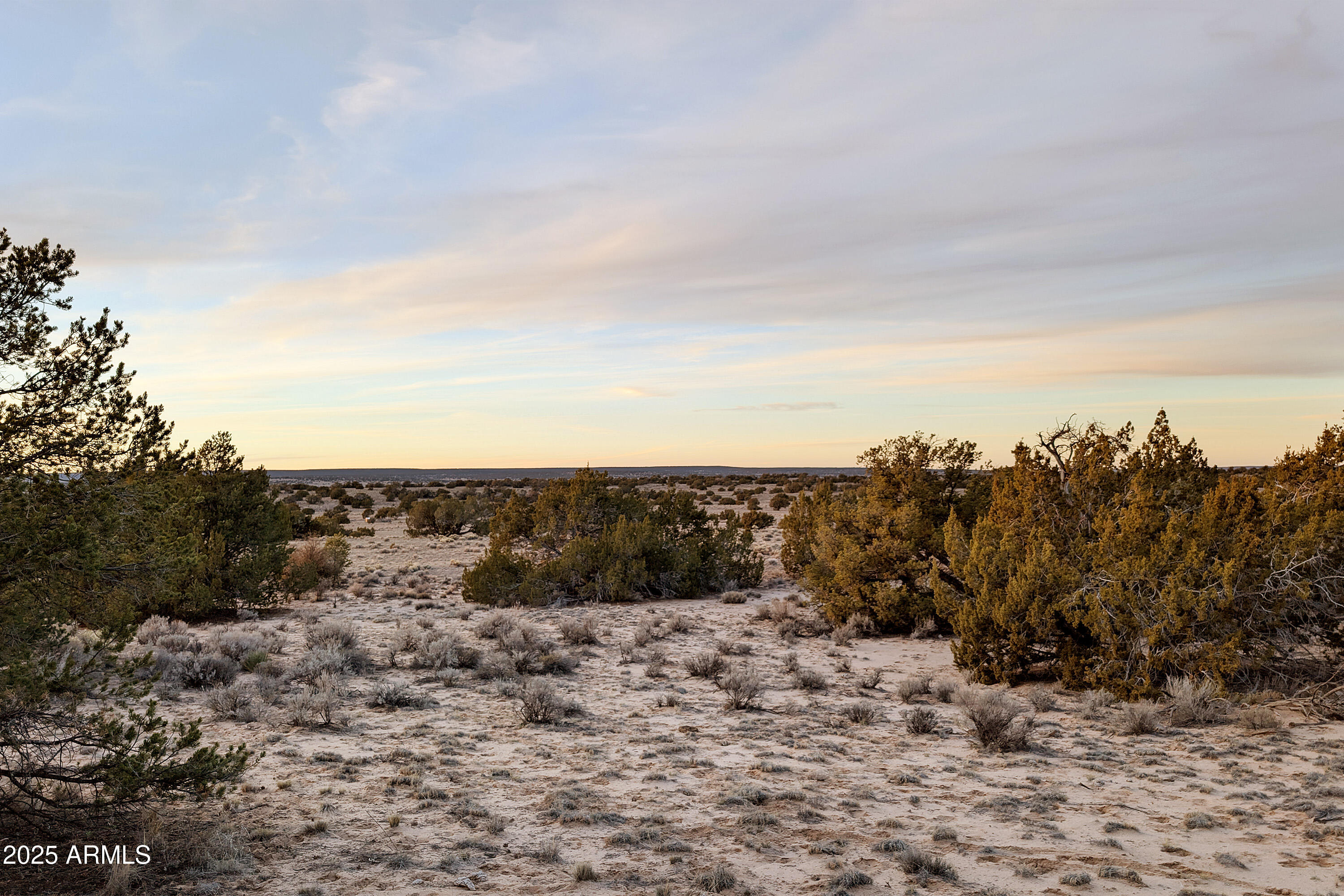Lot 78 Witch Well Ranches, Unit 78 St. Johns, AZ 85936 - Photo 9 of 12 a view of a dry yard with trees in the background