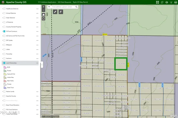 $25,000 | Lot 78 Witch Well Ranches, Unit 78, St. Johns, AZ 85936