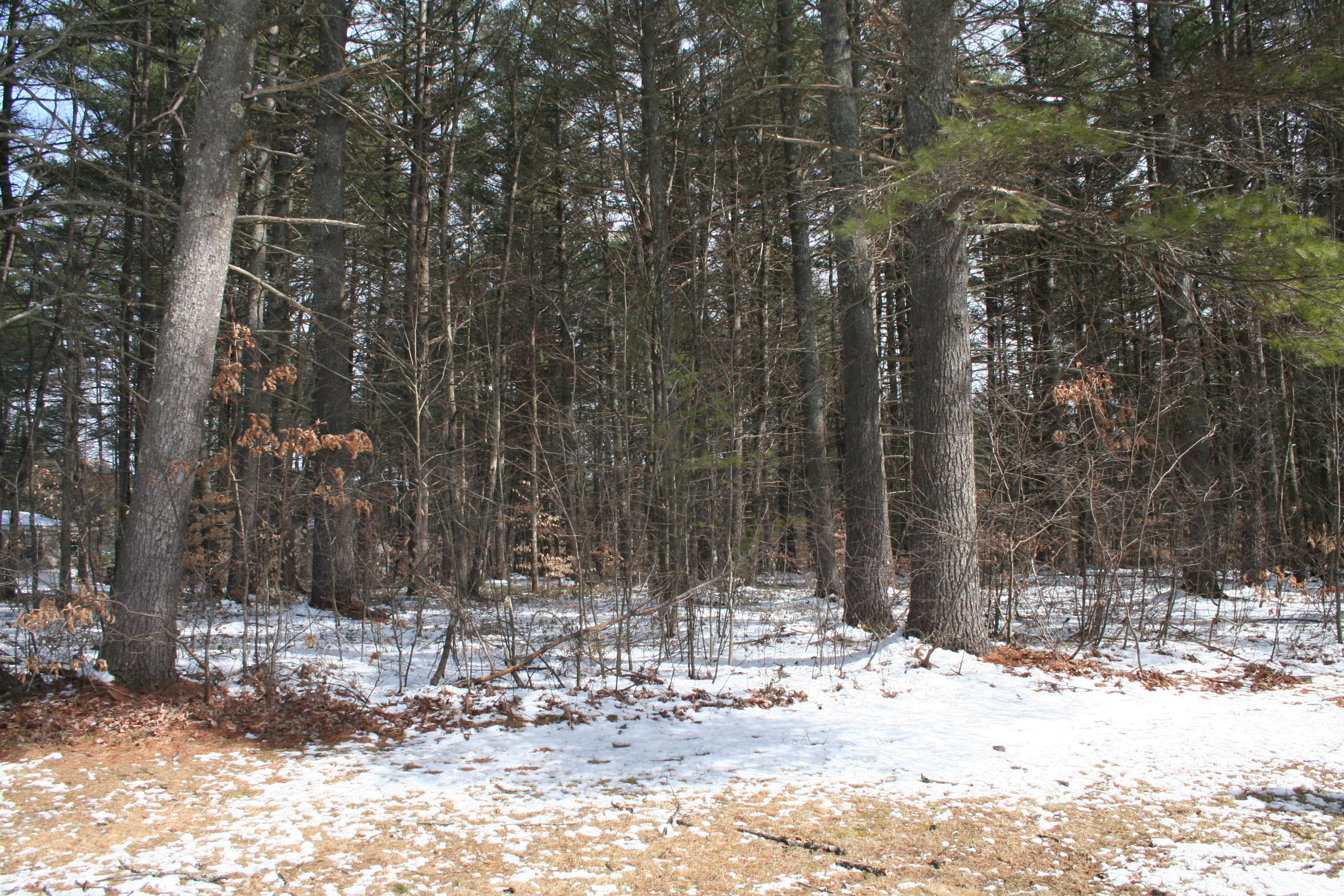 103 Ice House Road Fryeburg, ME 04037 - Photo 23 of 25 IMG_8132