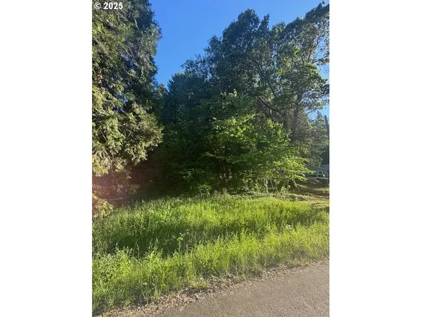 $60,000 | 0 Red Hill Road, Glendale, OR 97442
