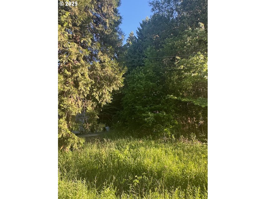 0 Red Hill Road Glendale, OR 97442 - Photo 2 of 7