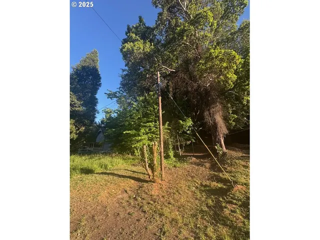 a view of yard with trees