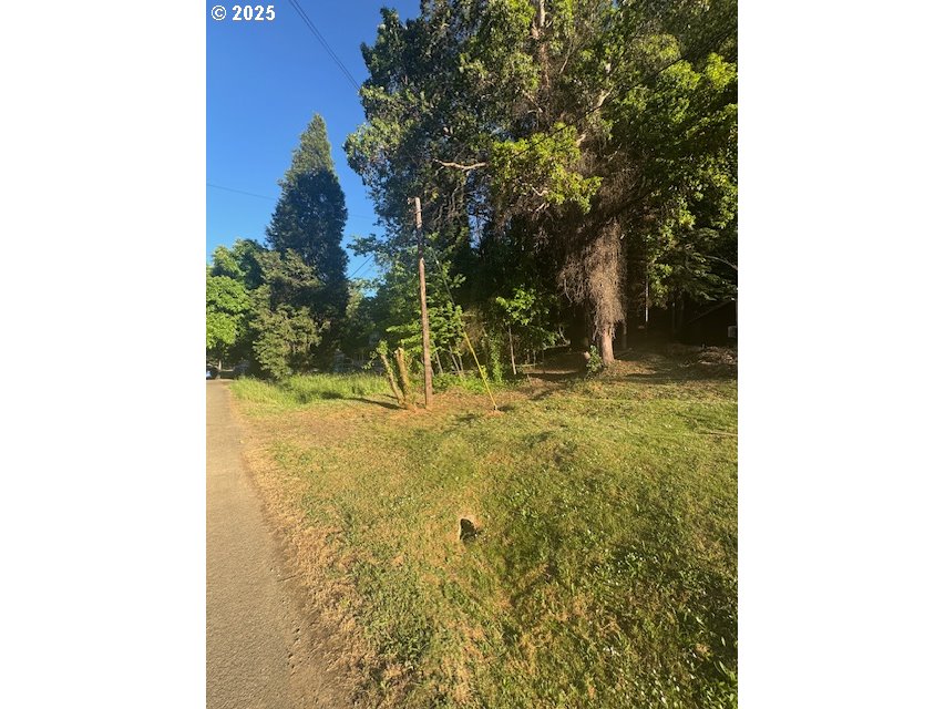 0 Red Hill Road Glendale, OR 97442 - Photo 6 of 7 a view of yard with trees