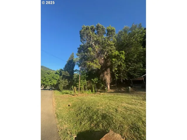 $65,000 | 0 Red Hill Road, Glendale, OR 97442