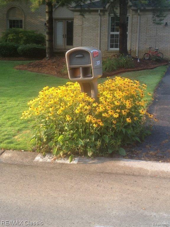 35235 Spring Hill Road Farmington, MI 48331 - Photo 24 of 28 SPRING FLOWERS