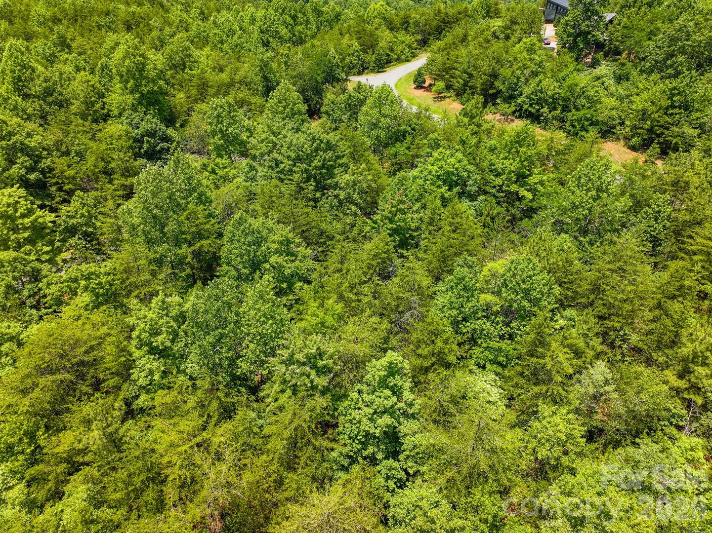 121 Jobes Trail, Unit 35 Mill Spring, NC 28756 - Photo 19 of 20