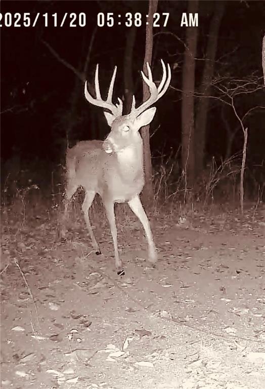 14300 Smart Road Greenwood, MO 64034 - Photo 93 of 99