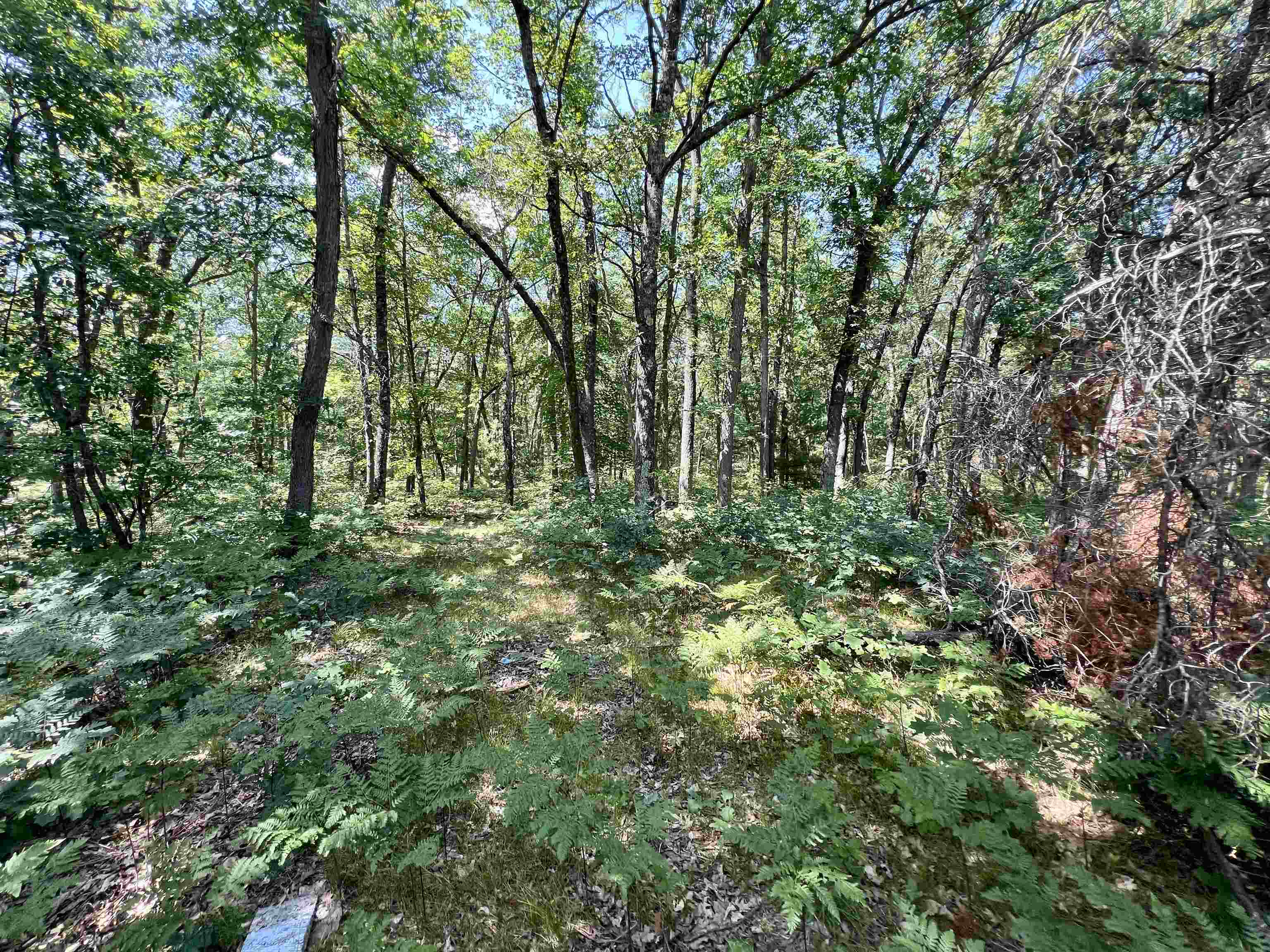 814 North Tippy Dam Road Wellston, MI 49689 - Photo 31 of 48 Gallery Image 31