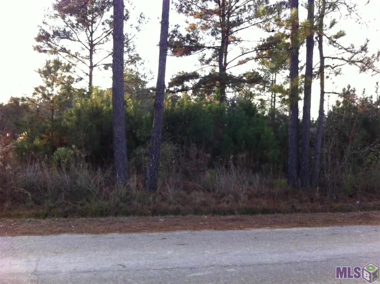 0 Lindsay Tabor Road Holden, LA 70744 - Photo 1 of 5 Gallery Image 1