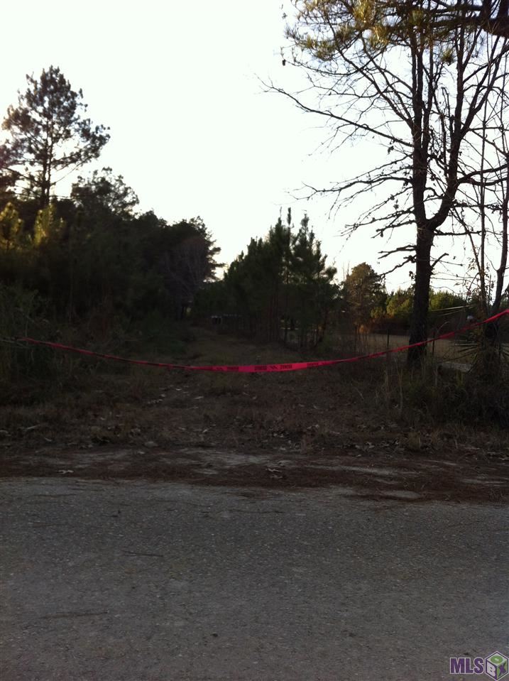 0 Lindsay Tabor Road Holden, LA 70744 - Photo 2 of 5 Gallery Image 2