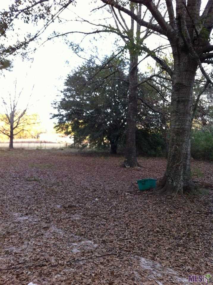 0 Lindsay Tabor Road Holden, LA 70744 - Photo 3 of 5 Gallery Image 3