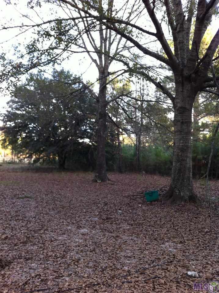 0 Lindsay Tabor Road Holden, LA 70744 - Photo 4 of 5 Gallery Image 4
