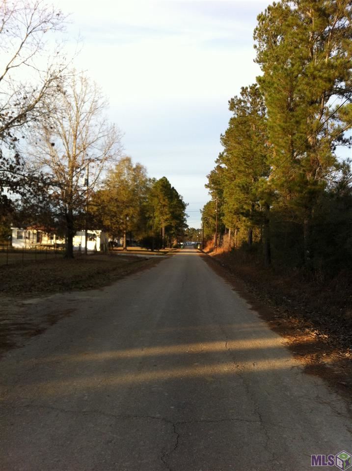 0 Lindsay Tabor Road Holden, LA 70744 - Photo 5 of 5 Gallery Image 5