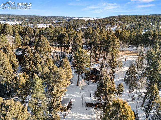 267 Kutsu Ridge Road Florissant, CO 80816 - Photo 25 of 26 Gallery Image 25