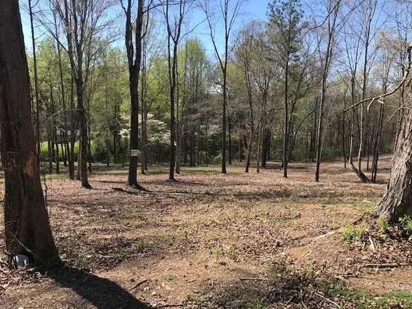 $50,000 | 17 Piney View Drive, Spring City, TN 37381