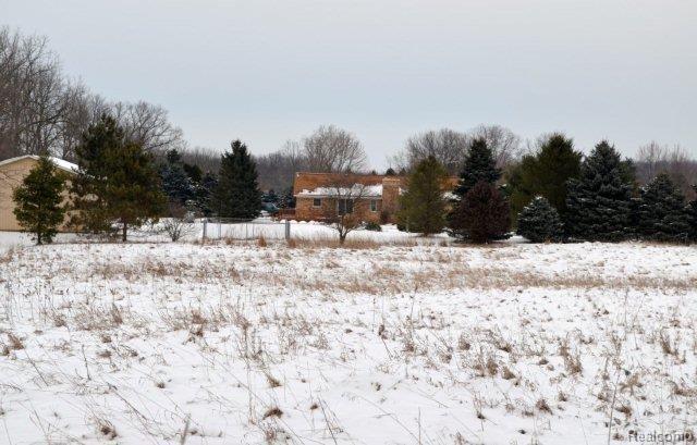 1392 Swarthout Road Pinckney, MI 48169 - Photo 20 of 20 Lookingatback 018.jpg