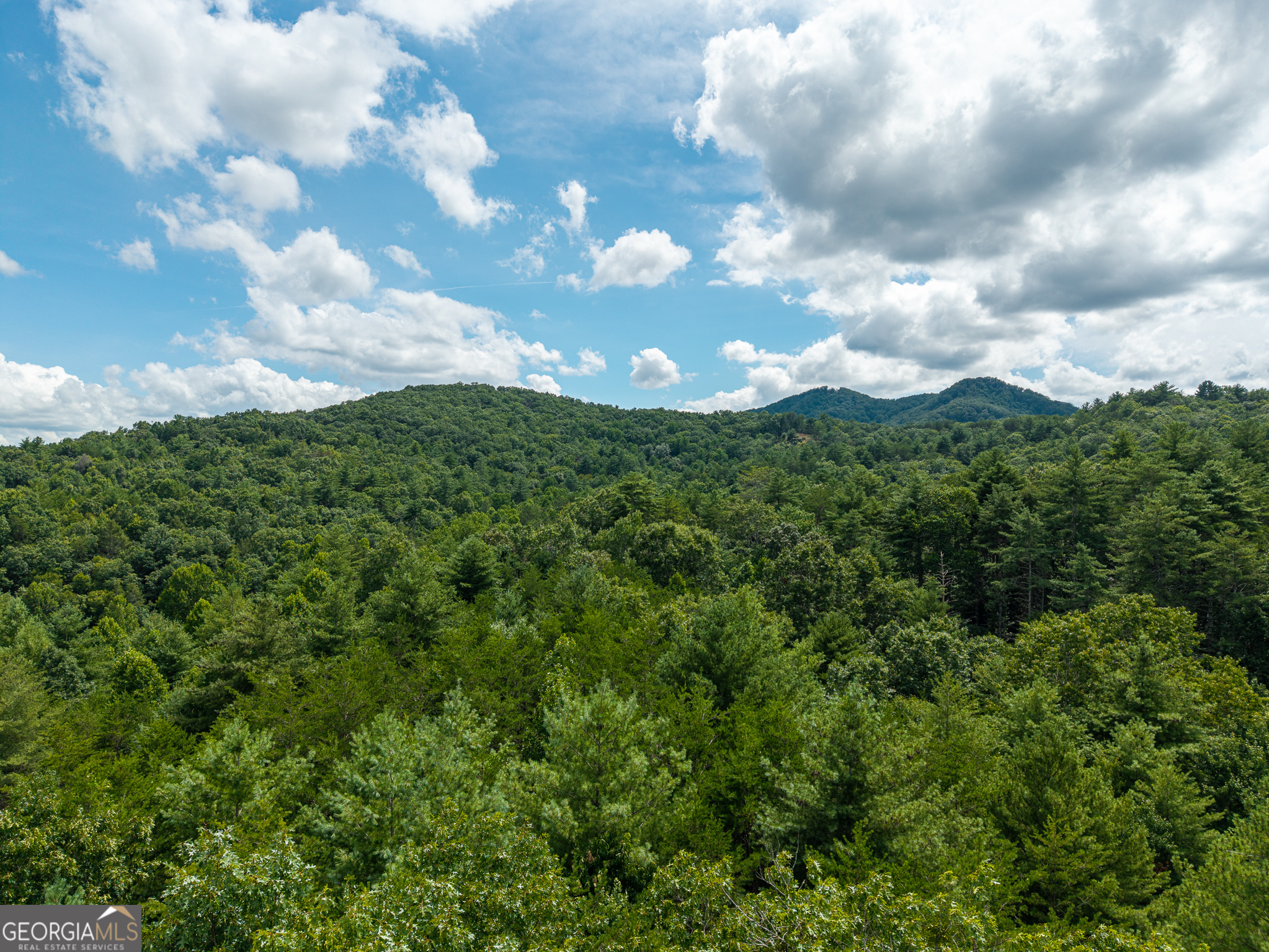 0 White Pine Road McCaysville, GA 30555 - Photo 20 of 32 Gallery Image 20