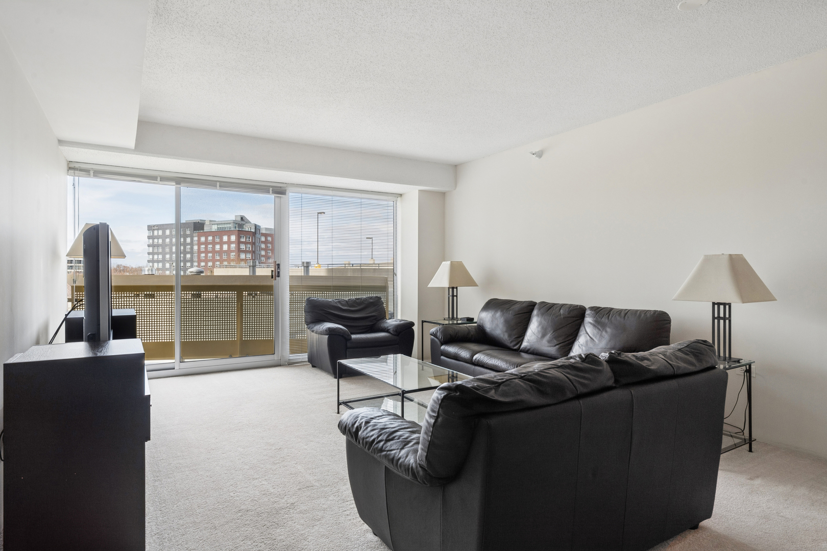 1720 Maple Avenue, Unit 680 Evanston, IL 60201 - Photo 6 of 24