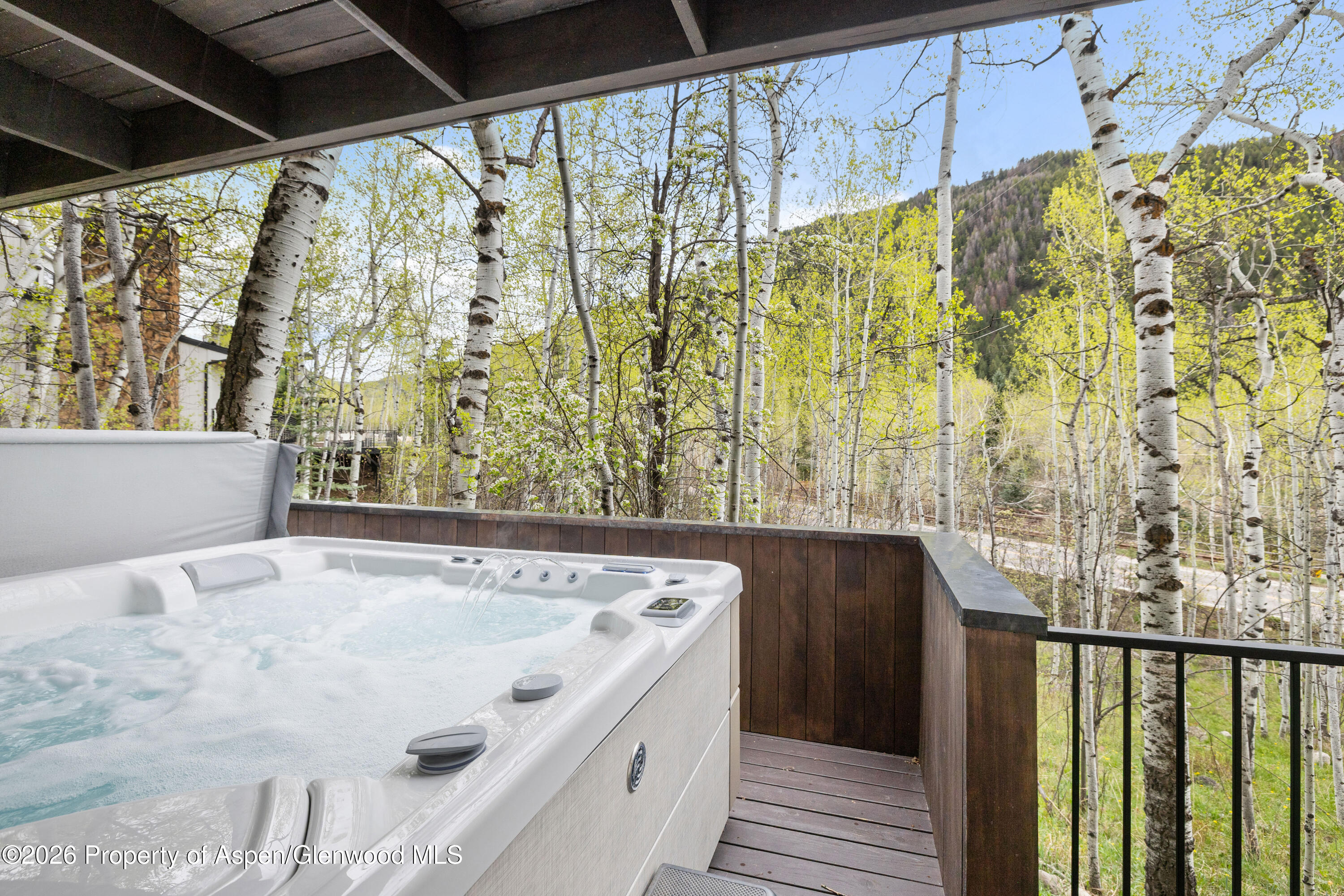 284 Eastwood Road Aspen, CO 81611 - Photo 20 of 32 25-284EastwoodRd_2604_0794