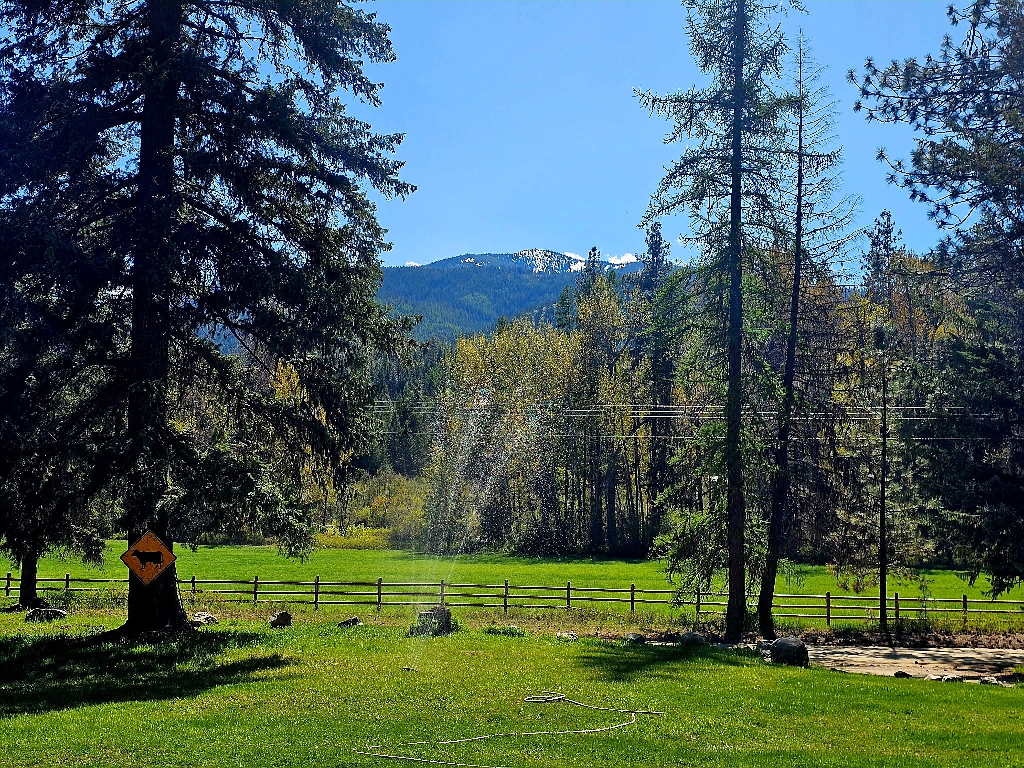 26900 9 Mile Road Huson, MT 59846 - Photo 51 of 60 Gallery Image 51