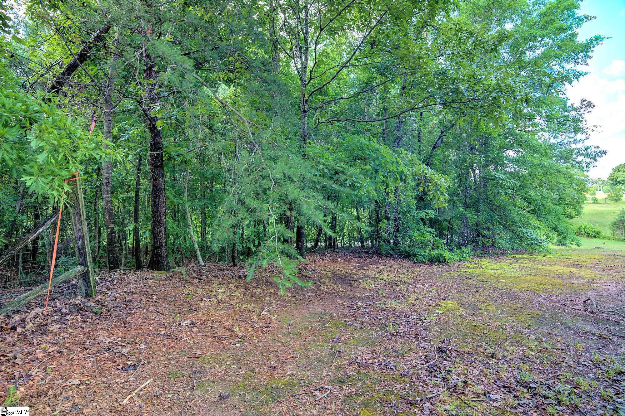 350 Riggins Road Pickens, SC 29671 - Photo 5 of 25