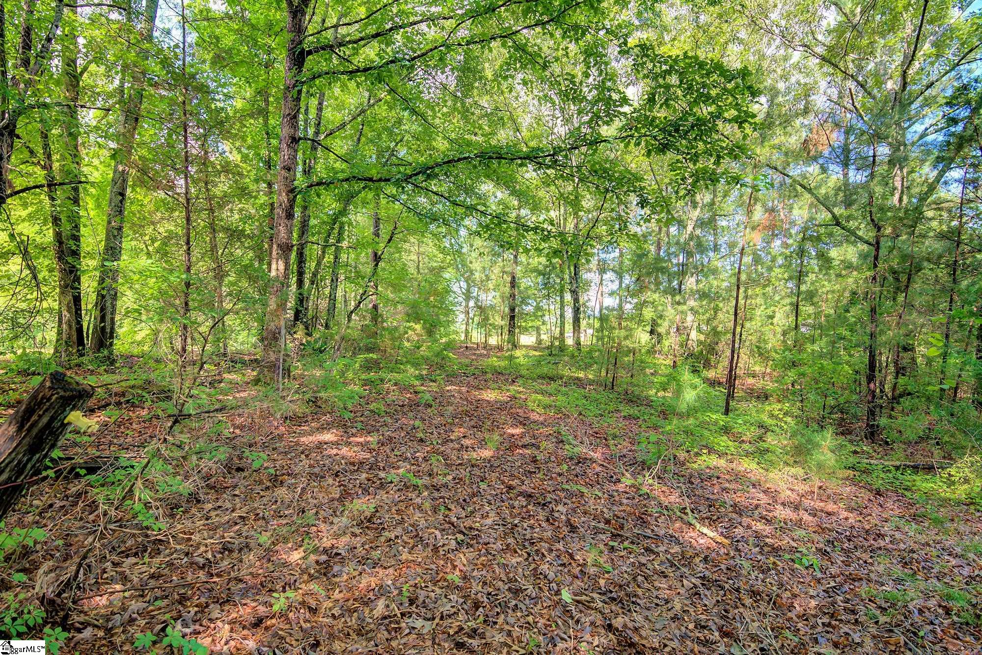 350 Riggins Road Pickens, SC 29671 - Photo 6 of 25