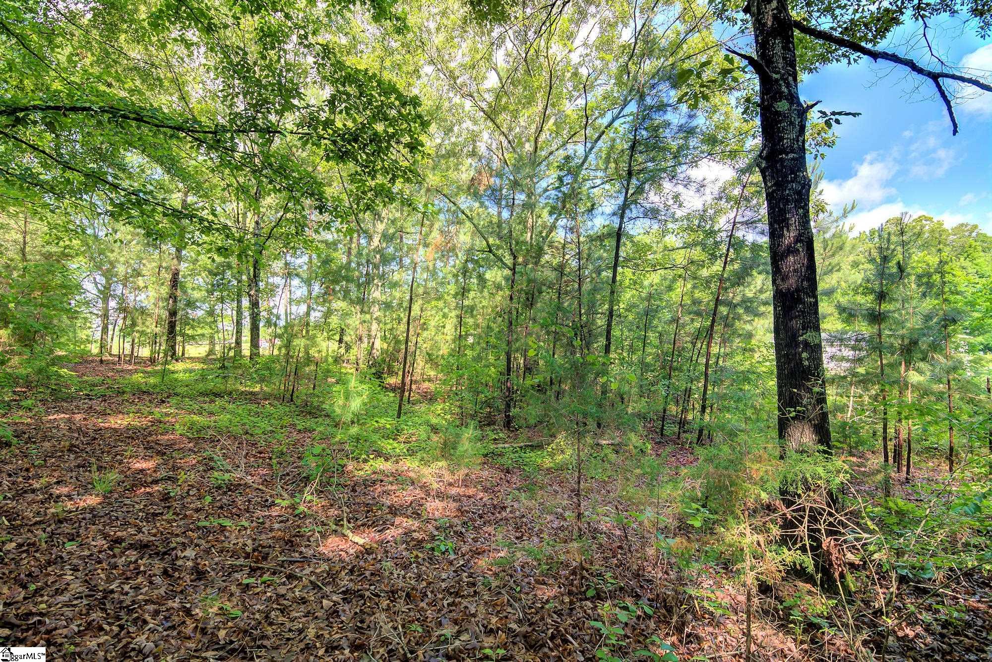 350 Riggins Road Pickens, SC 29671 - Photo 7 of 25