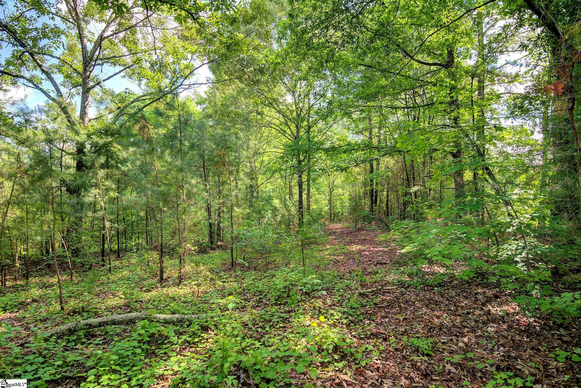 350 Riggins Road Pickens, SC 29671 - Photo 8 of 25