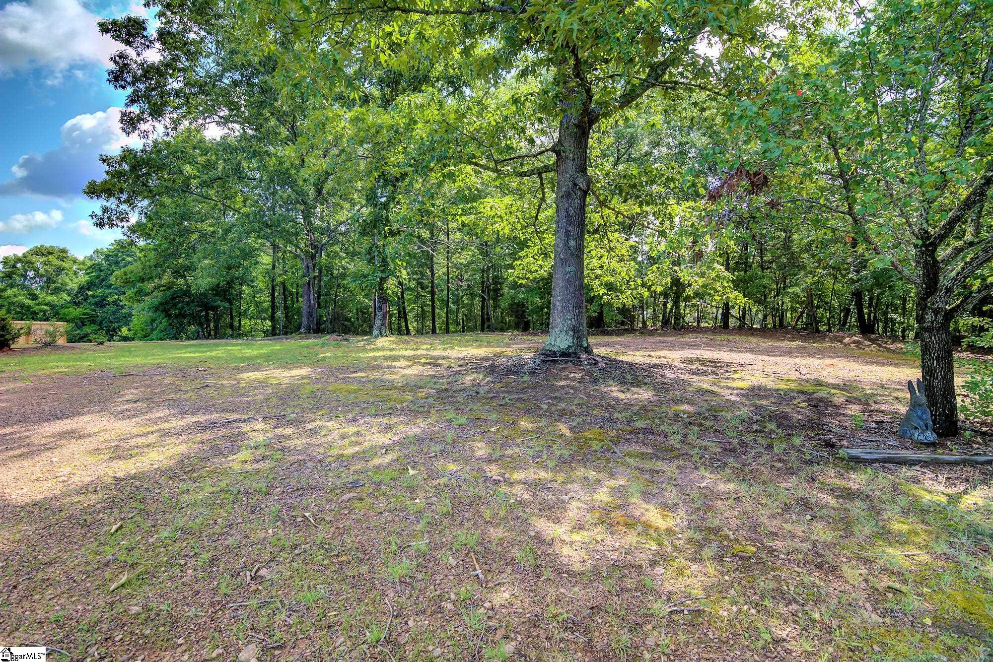 350 Riggins Road Pickens, SC 29671 - Photo 9 of 25