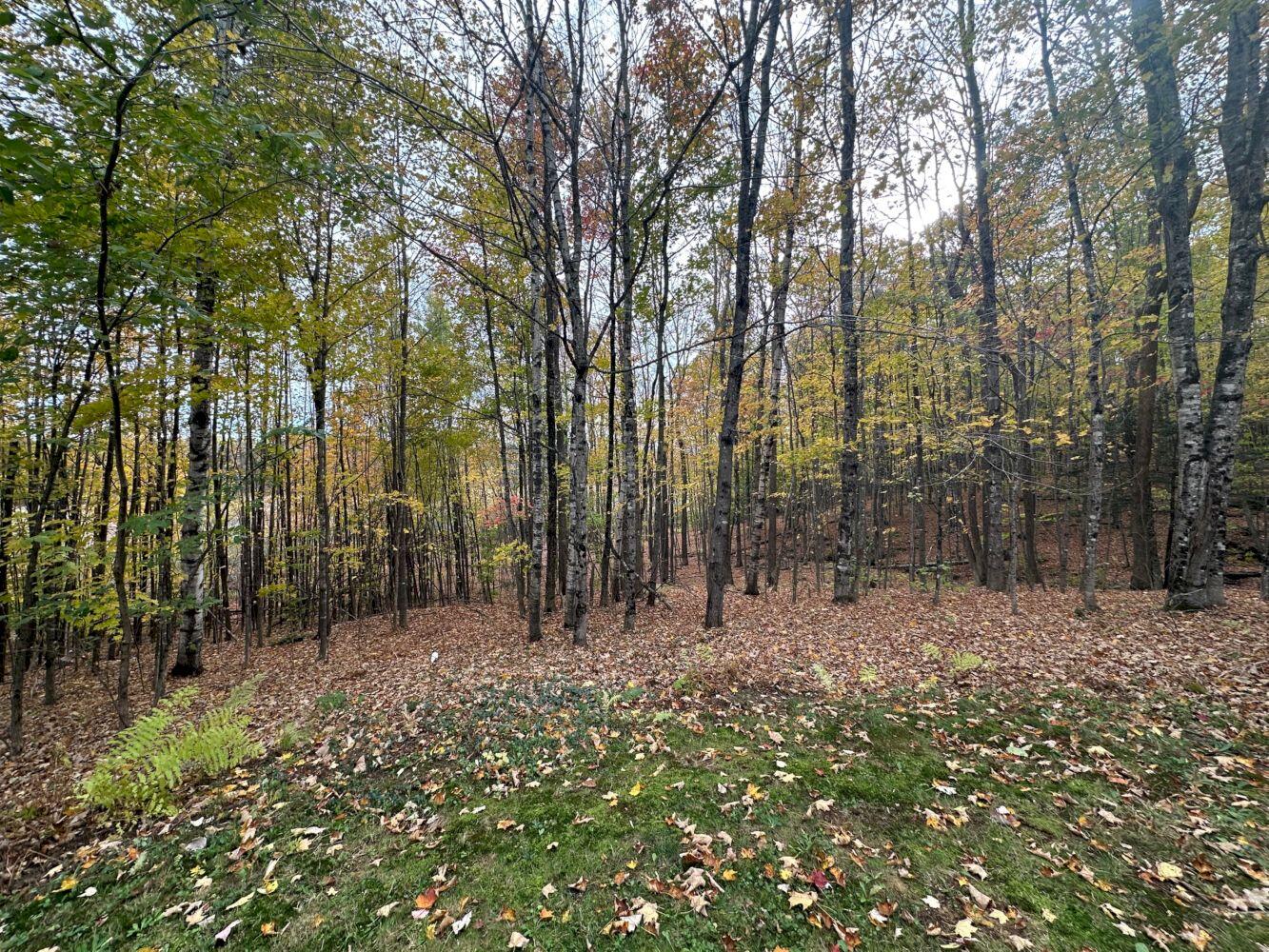 120 Savage Road Farmington, ME 04938 - Photo 27 of 32 IMG_5220_result