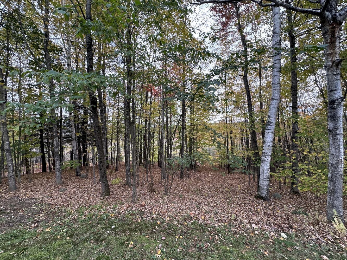 120 Savage Road Farmington, ME 04938 - Photo 28 of 32 IMG_5238_result