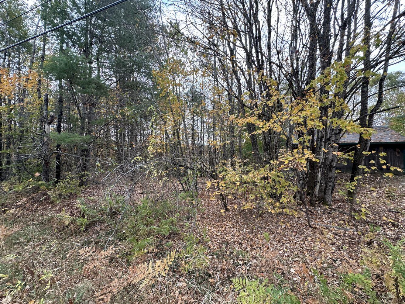 120 Savage Road Farmington, ME 04938 - Photo 29 of 32 IMG_5247_result