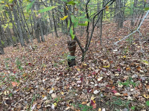 $260,000 | 120 Savage Road, Farmington, ME 04938