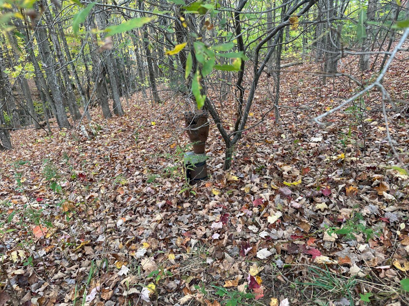 120 Savage Road Farmington, ME 04938 - Photo 32 of 32 IMG_5216_result