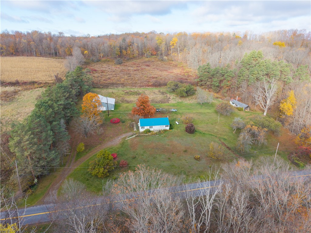 7165 County Route 69 Bath, NY 14810 - Photo 34 of 39