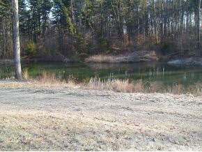Goose Creek Road Road Freedom, IN 47431 - Photo 2 of 6 Gallery Image 2